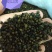 各种种籽