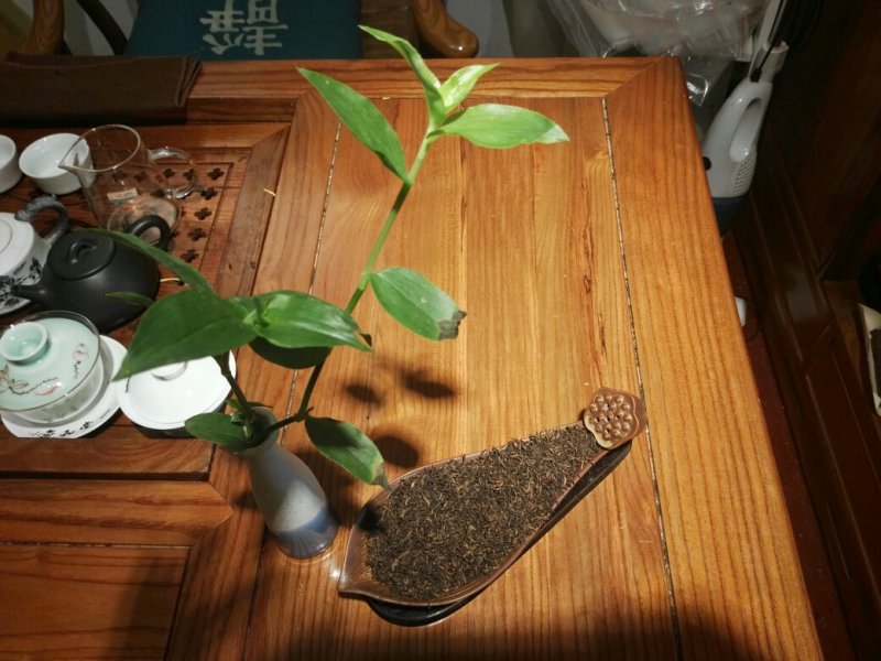 熟茶宫廷普洱古树滑润勐海味醇香