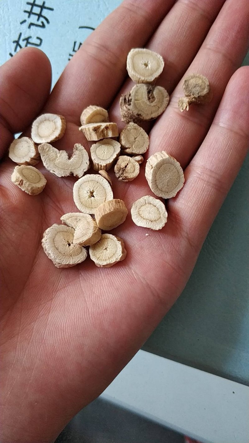 黄芪片