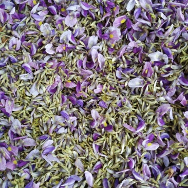 葛花大货供应