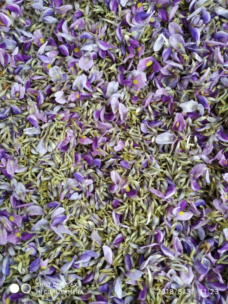葛花大货供应