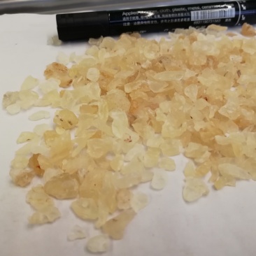 印度:雪燕