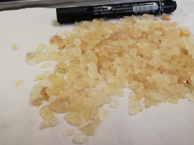 印度:雪燕