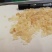 印度:雪燕