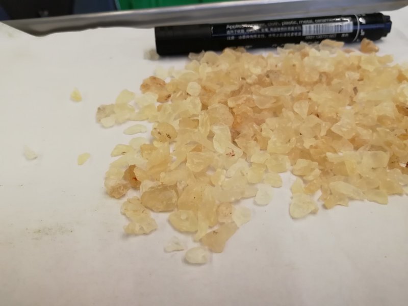 印度:雪燕