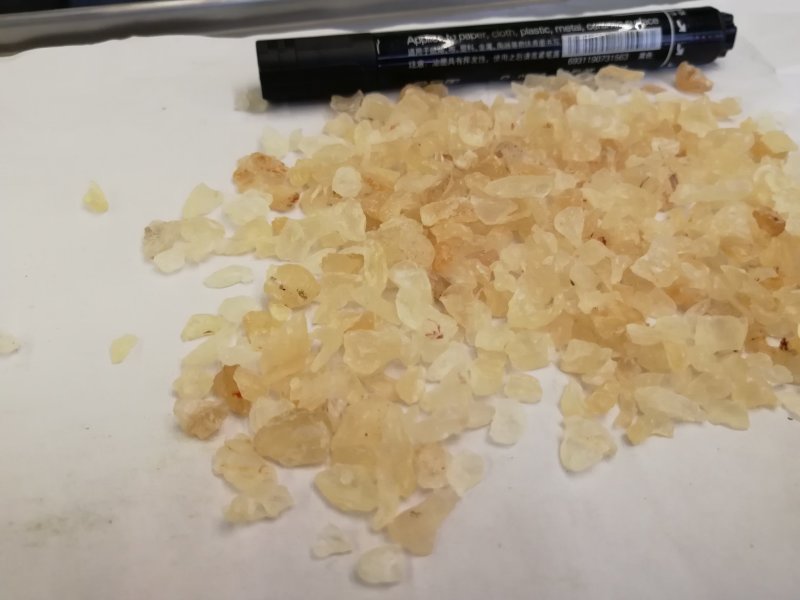 印度:雪燕