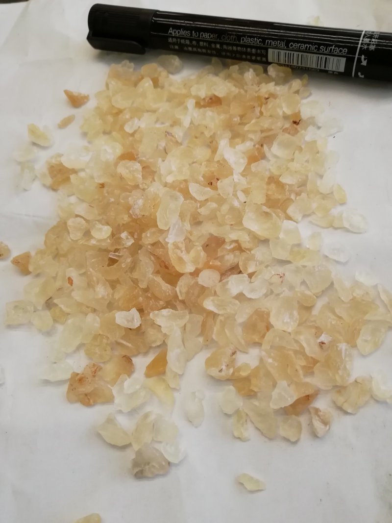 印度:雪燕
