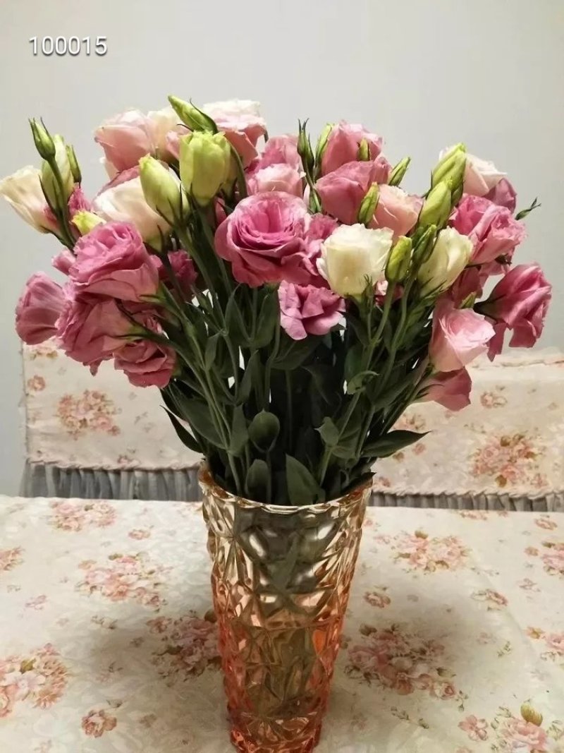 各种鲜花批发，可一件代发