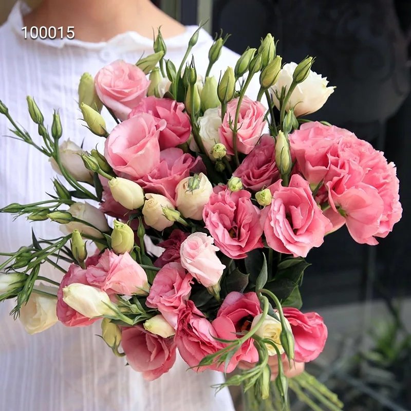 各种鲜花批发，可一件代发