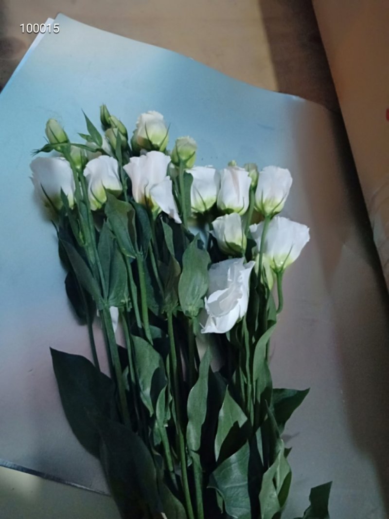 各种鲜花批发，可一件代发