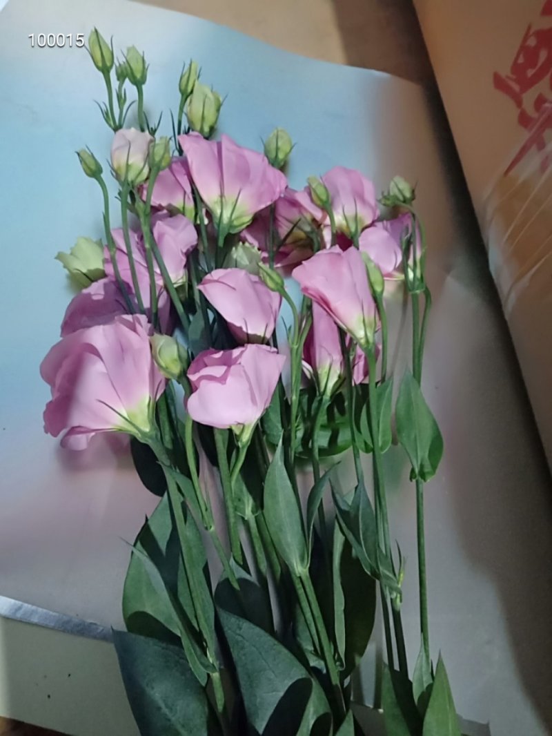 各种鲜花批发，可一件代发