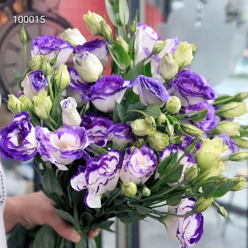 各种鲜花批发，可一件代发
