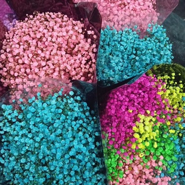 各种鲜花批发，可一件代发
