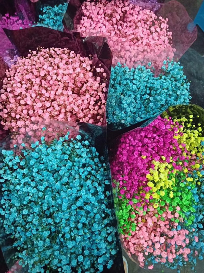 各种鲜花批发，可一件代发