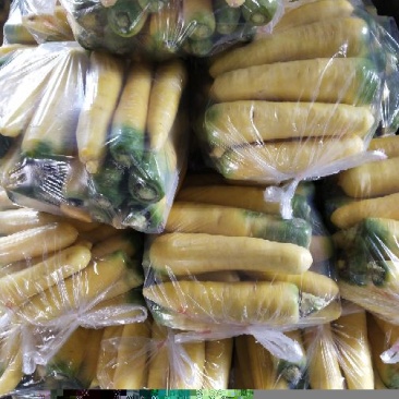 万亩红萝卜，黄萝卜，大量上市，供应商超市场团购批发