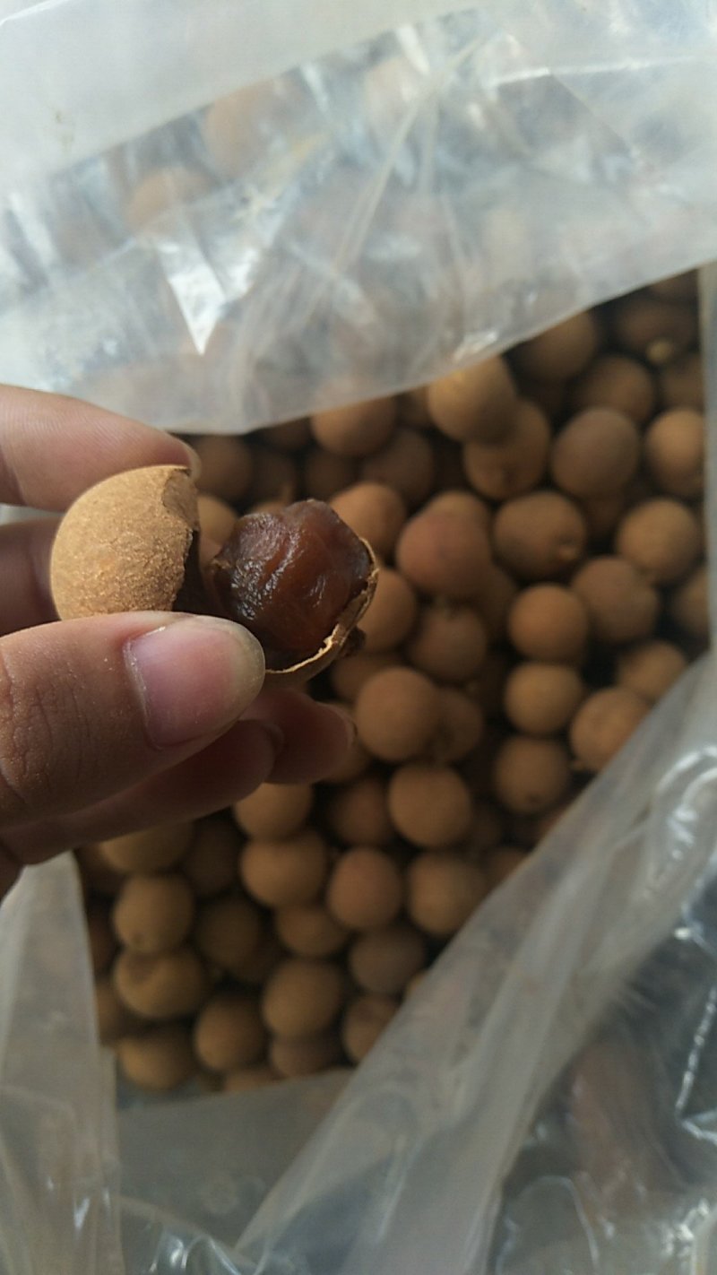 高州特级足干桂圆干新货现货