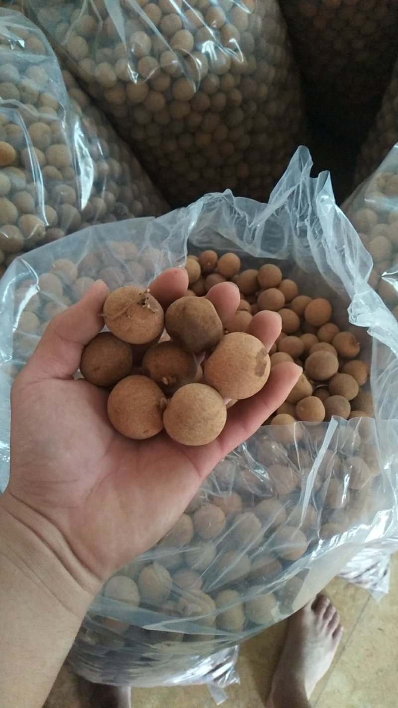高州特级足干桂圆干新货现货