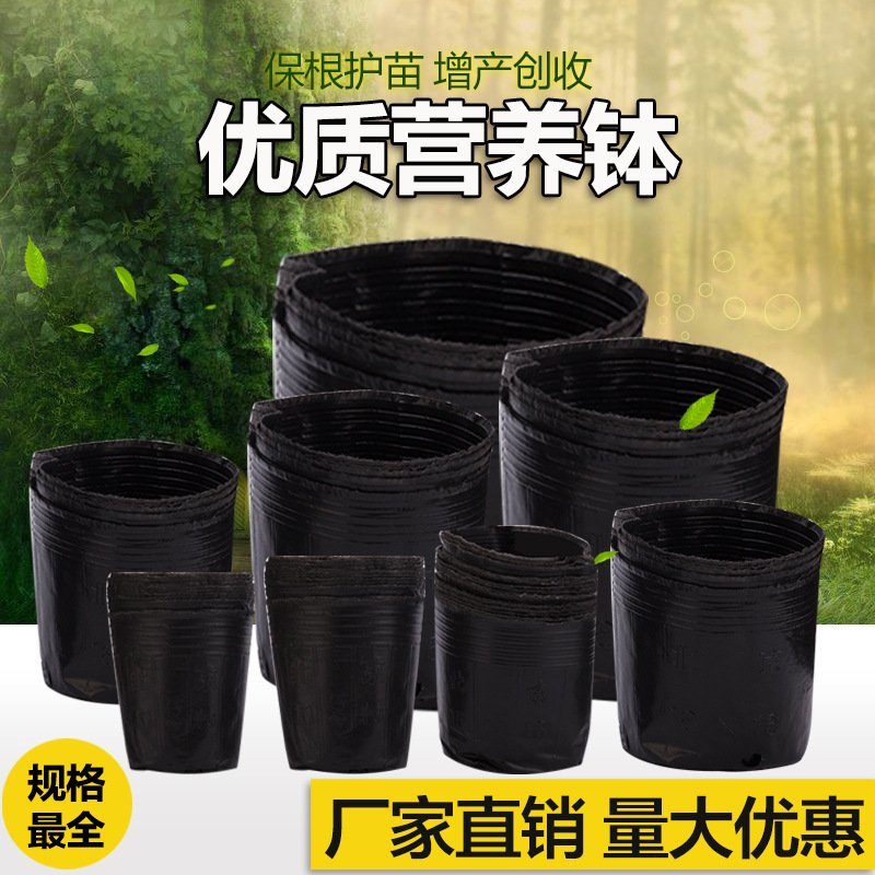 厂家直销特价营养钵