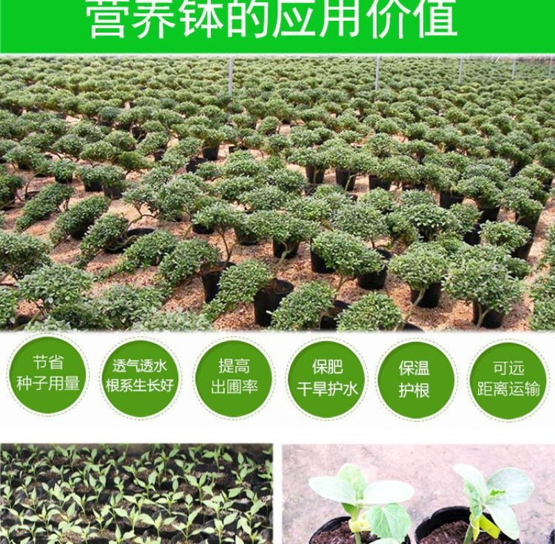 厂家直销特价营养钵