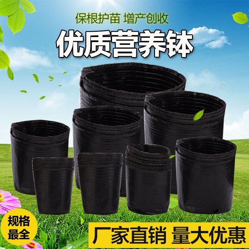 厂家直销特价营养钵
