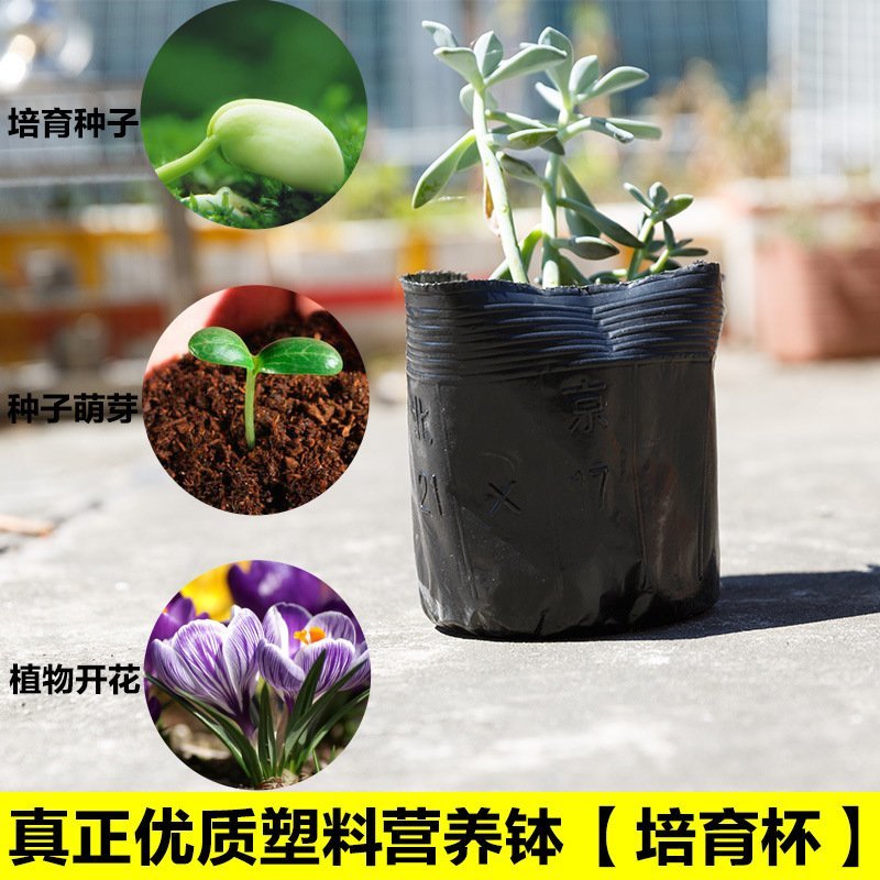厂家直销特价营养钵