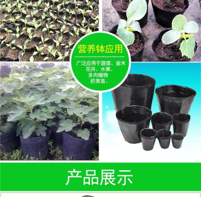 厂家直销特价营养钵
