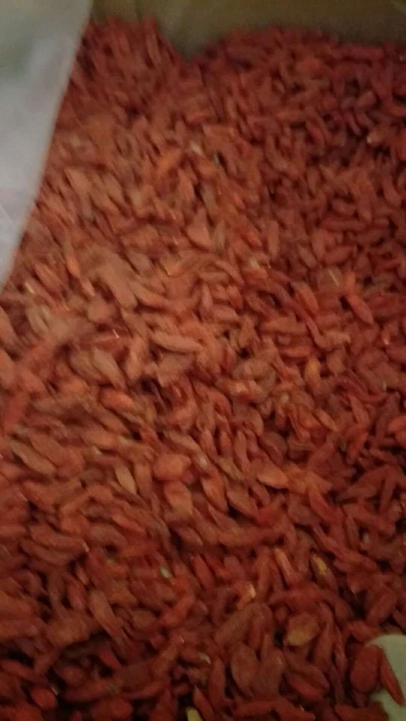 红枸杞