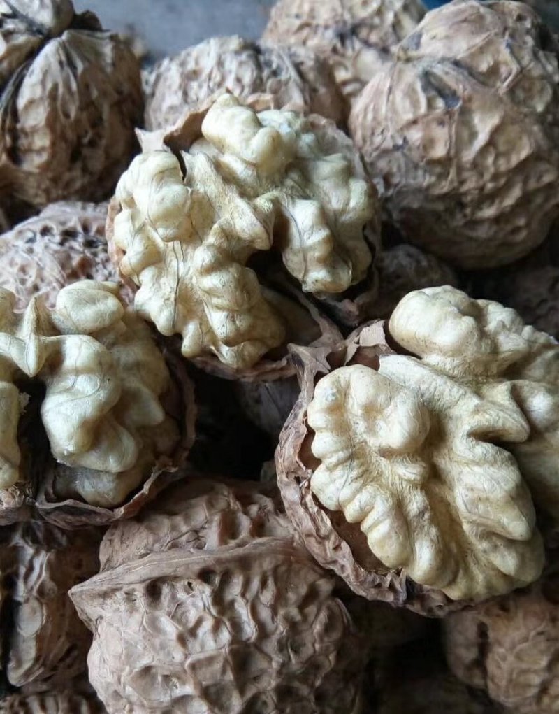 云南薄皮核桃去皮30mm以上湿