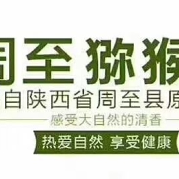 陕西省西安市周至县