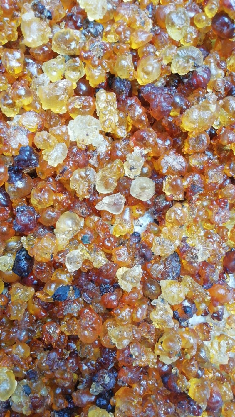 中颗粒，珠胶