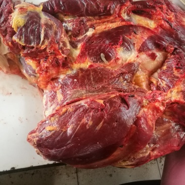甘南草原驴肉旌德总代理