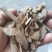 鬼箭羽