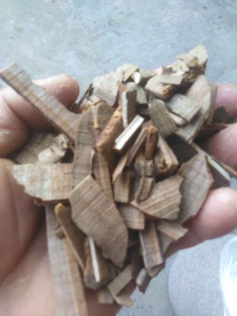 鬼箭羽
