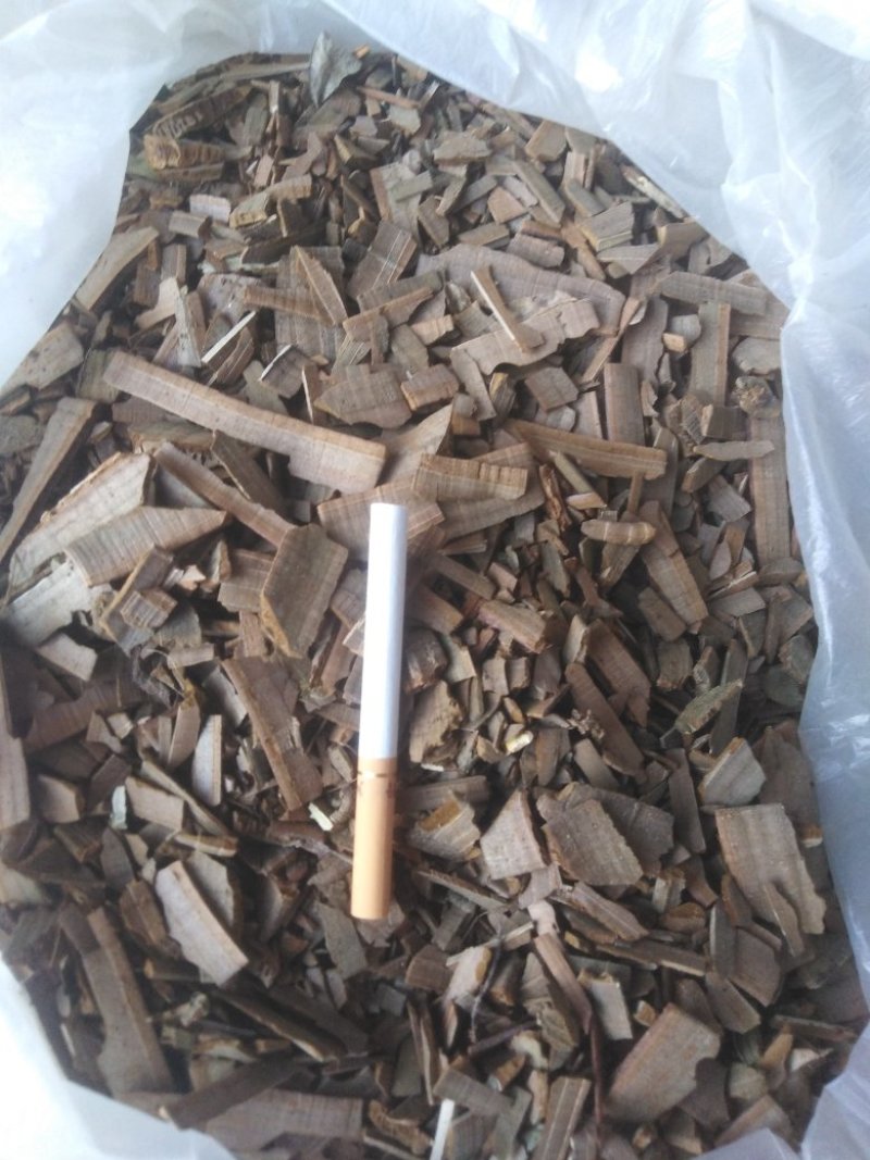 鬼箭羽