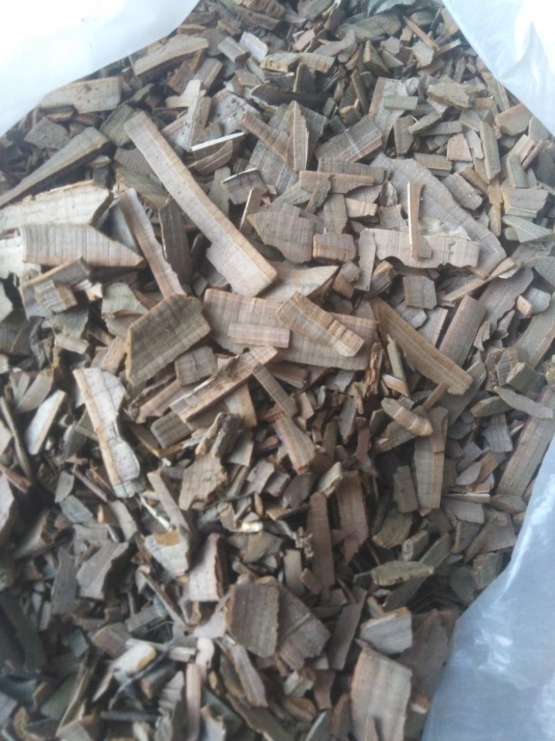 鬼箭羽
