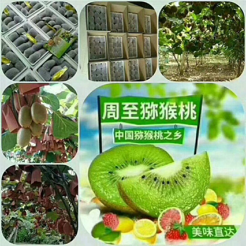 翠香猕猴桃