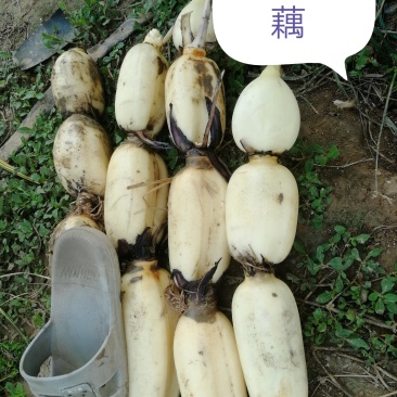 质量保证