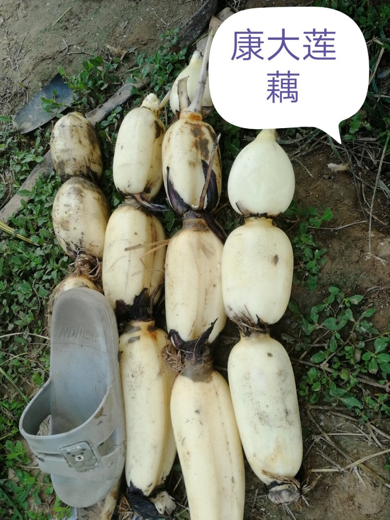 质量保证