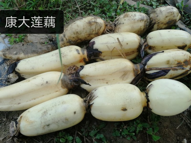 质量保证