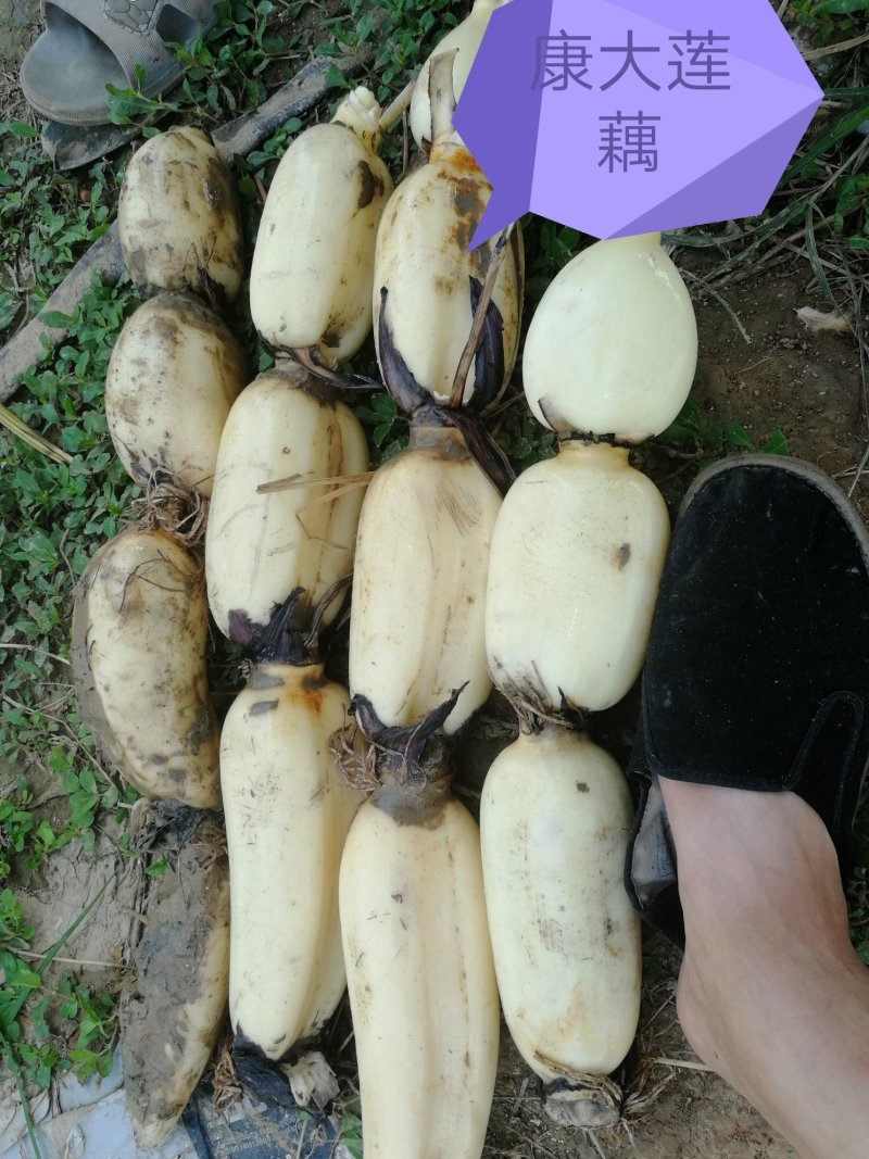 质量保证