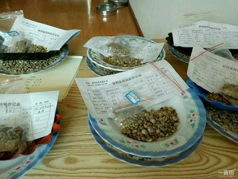 潞江小粒咖啡