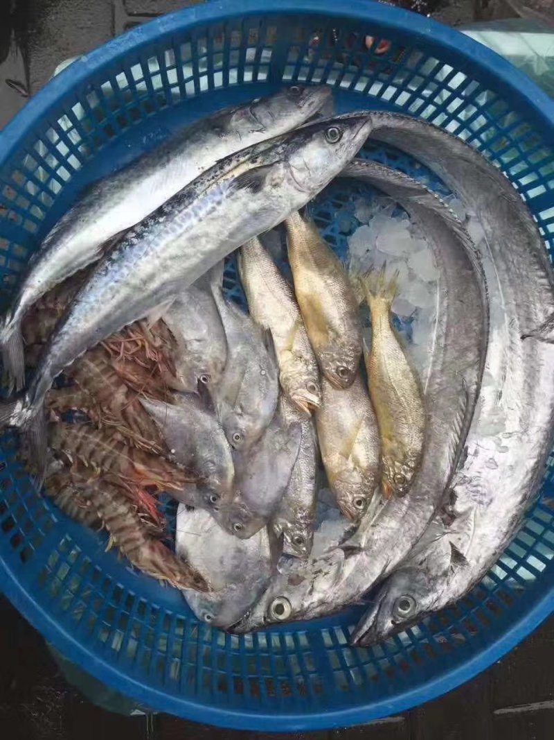 海鲜礼包