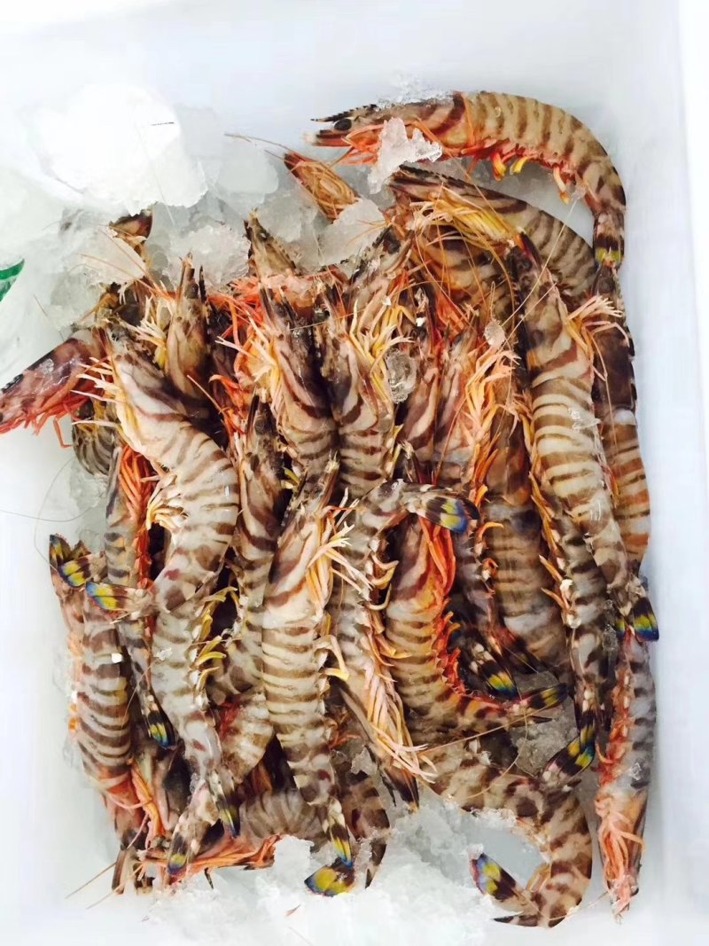 海鲜礼包