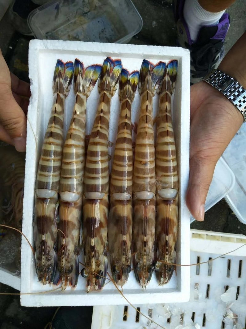 海鲜礼包