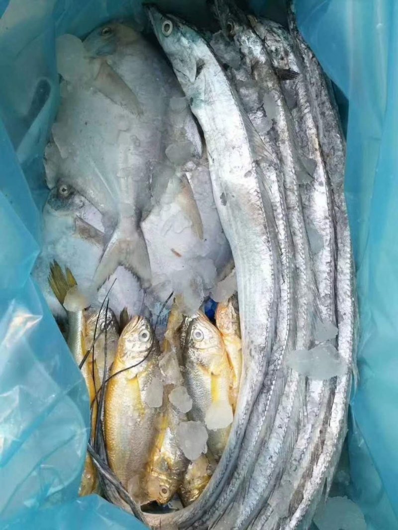海鲜礼包