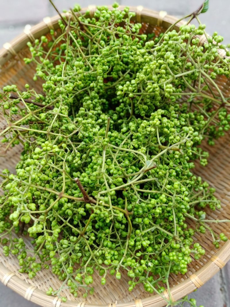 中花吴茱萸