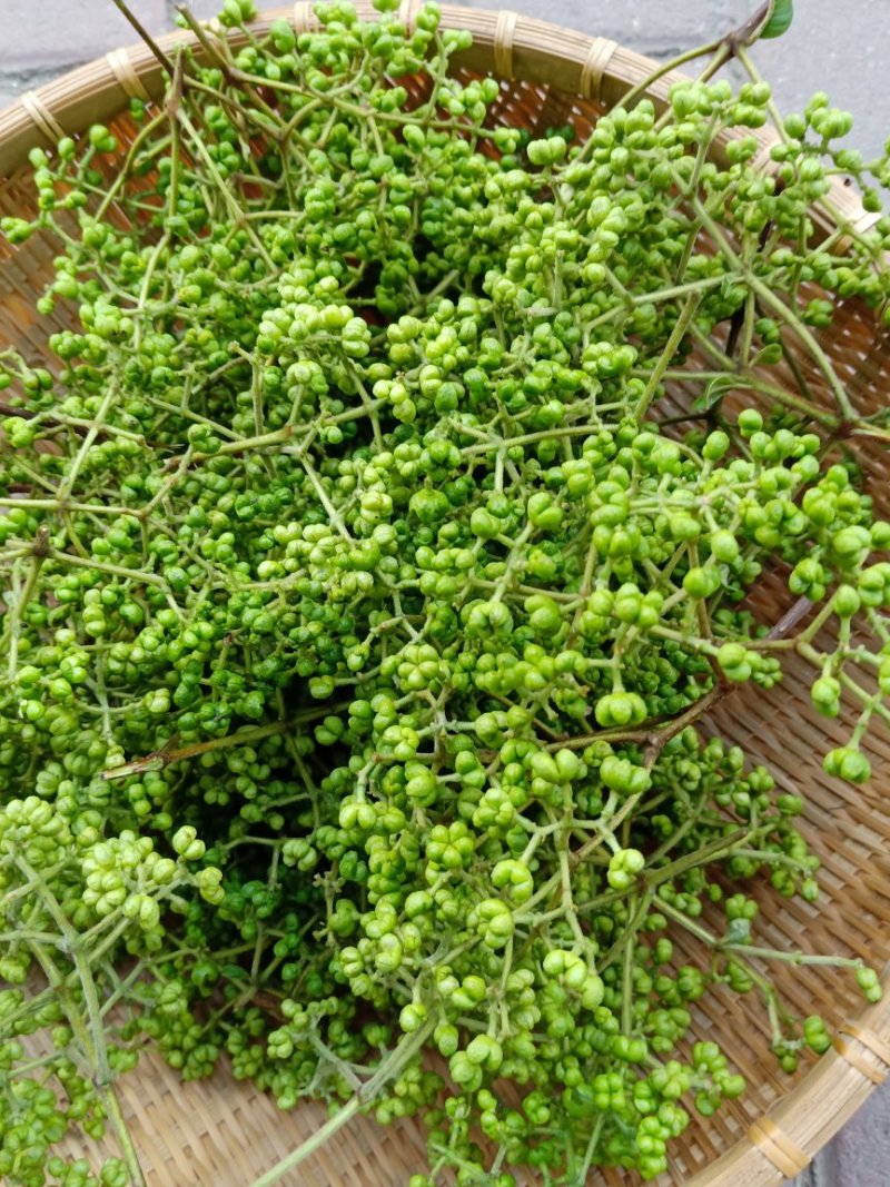 中花吴茱萸