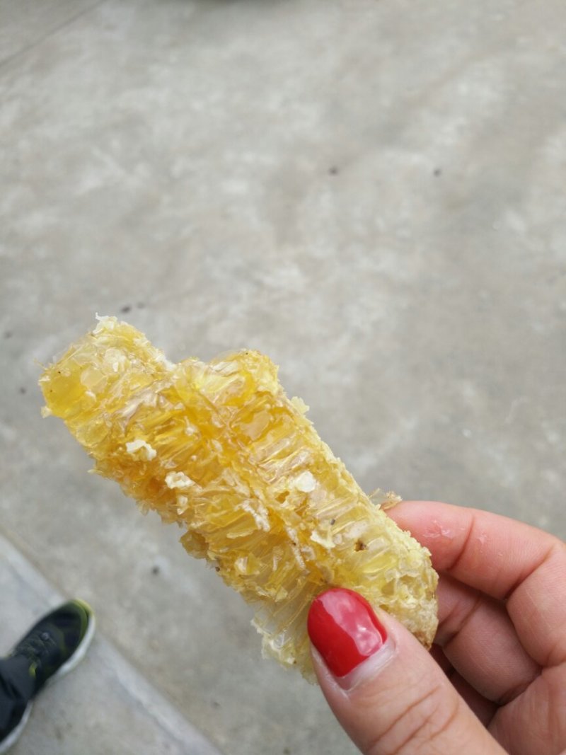 巢蜜
