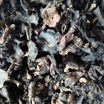 野生黑炭菇，黑菇，河南省方城县产地直供，价格便宜，包