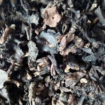 野生黑炭菇，黑菇，河南省方城县产地直供，价格便宜，包